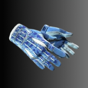 Sport Gloves